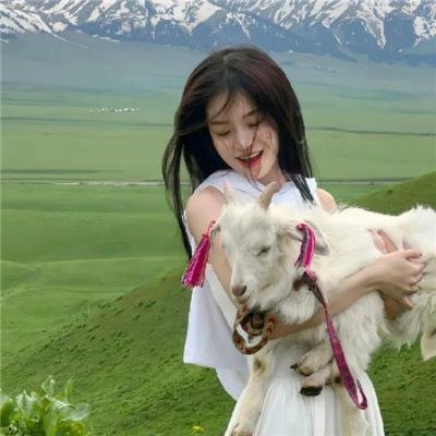 百战天狼