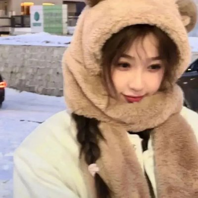 雪落时你向南飞